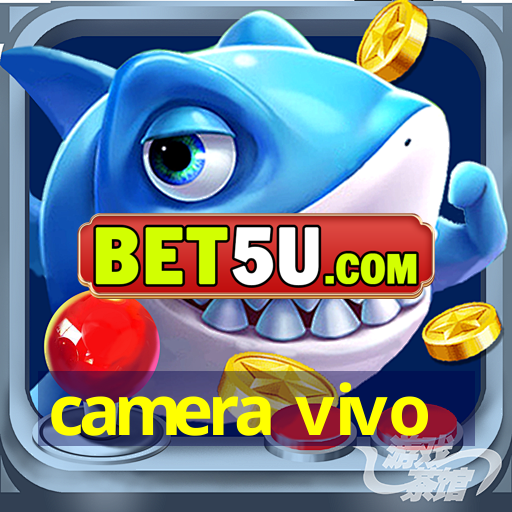 camera vivo